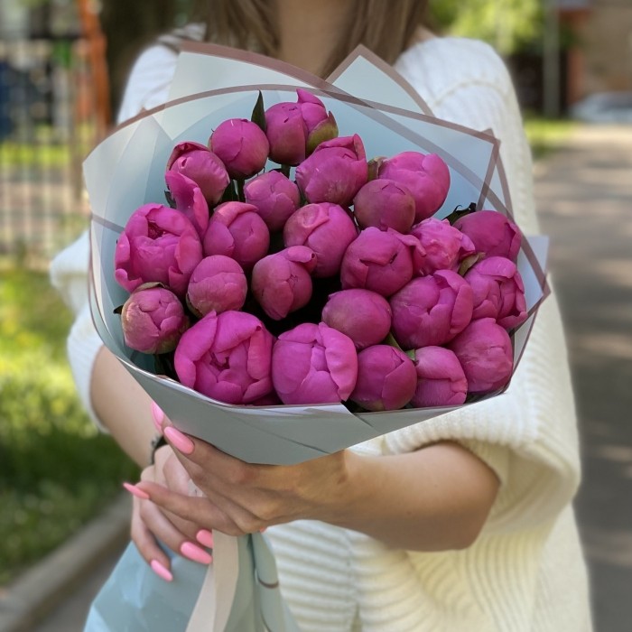 25 малиновых пионов